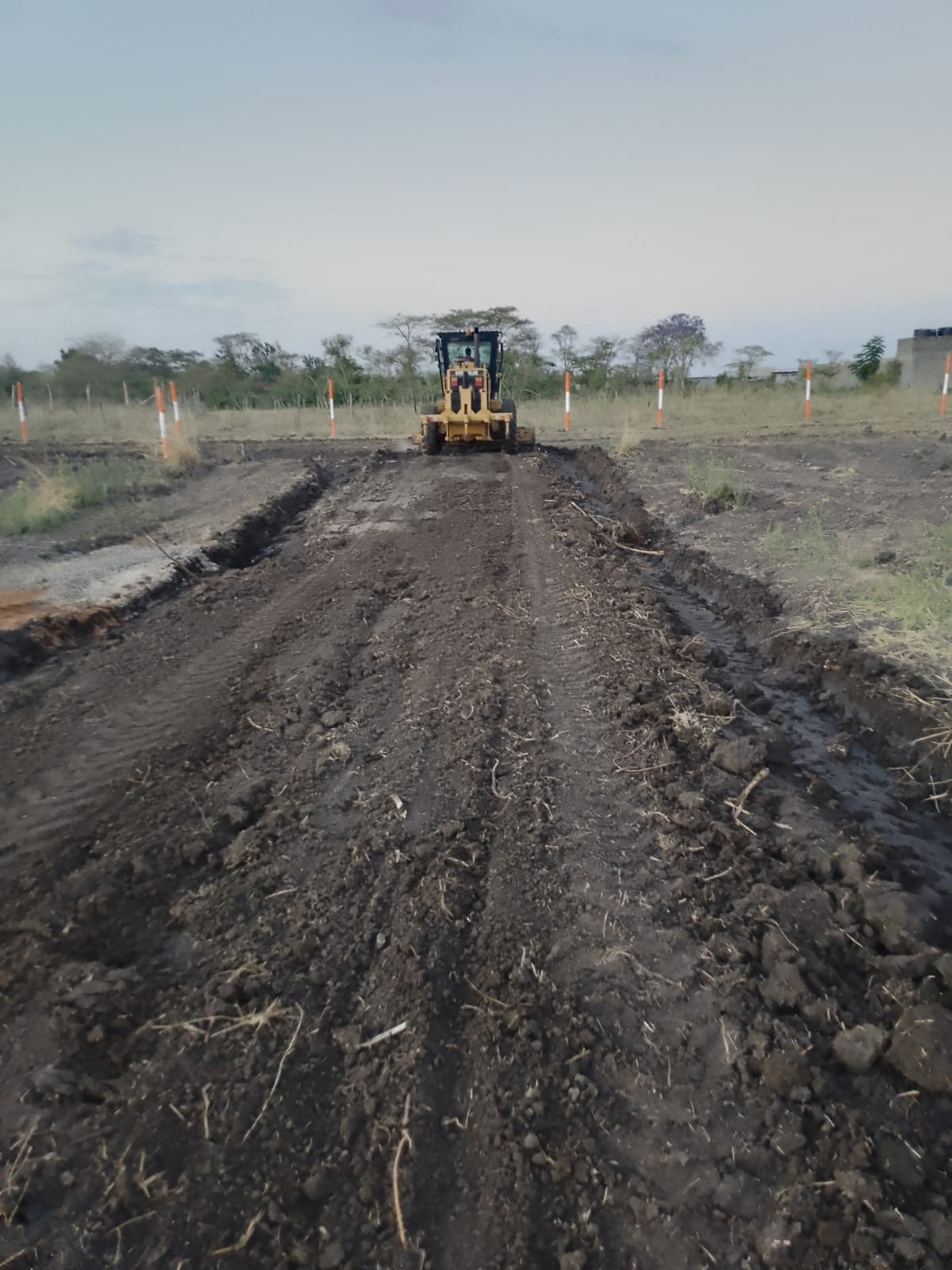 WhatsApp Image 2025-07-15 at 08.29.39