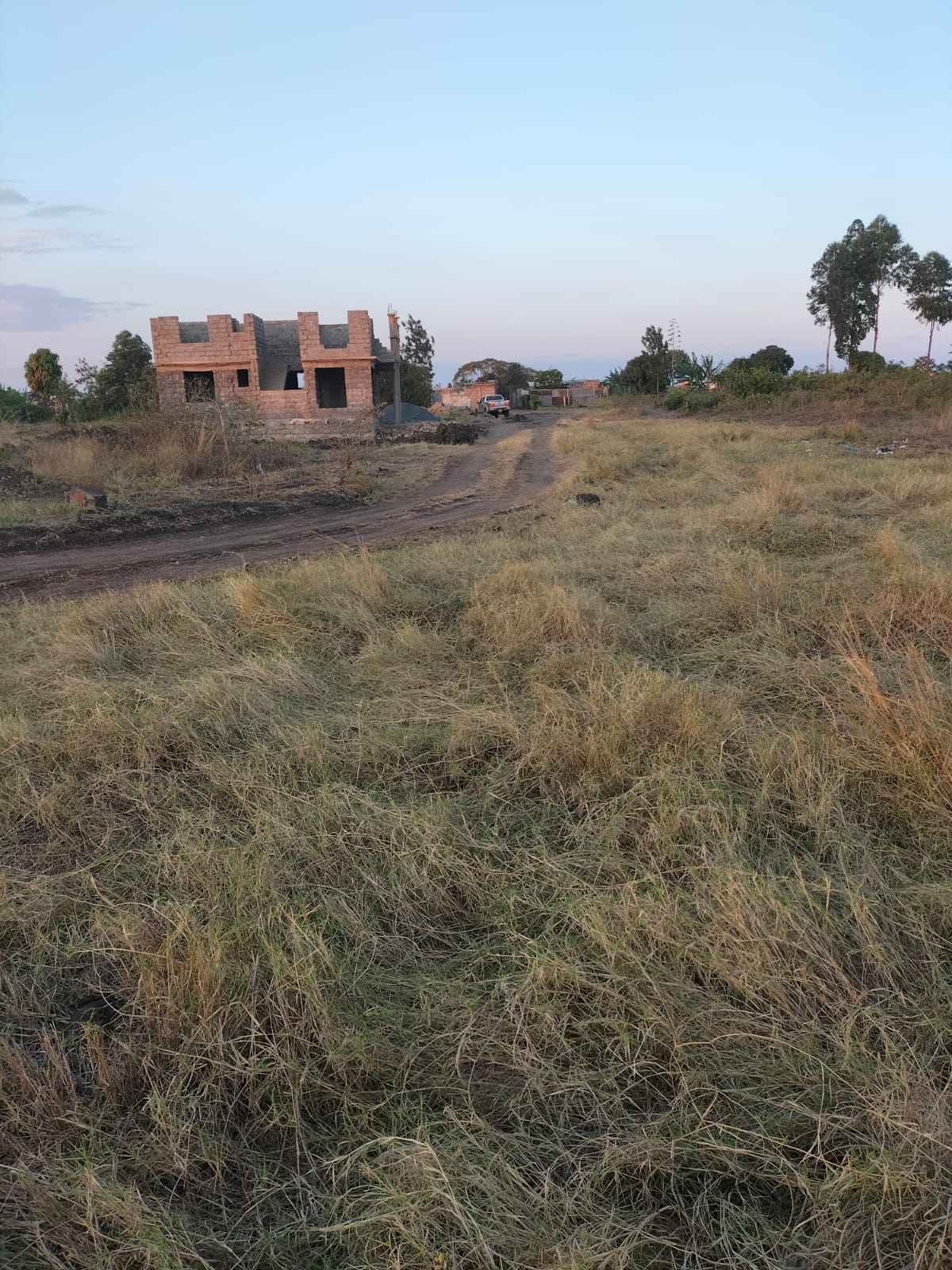 WhatsApp Image 2025-07-15 at 08.29.42 (1)