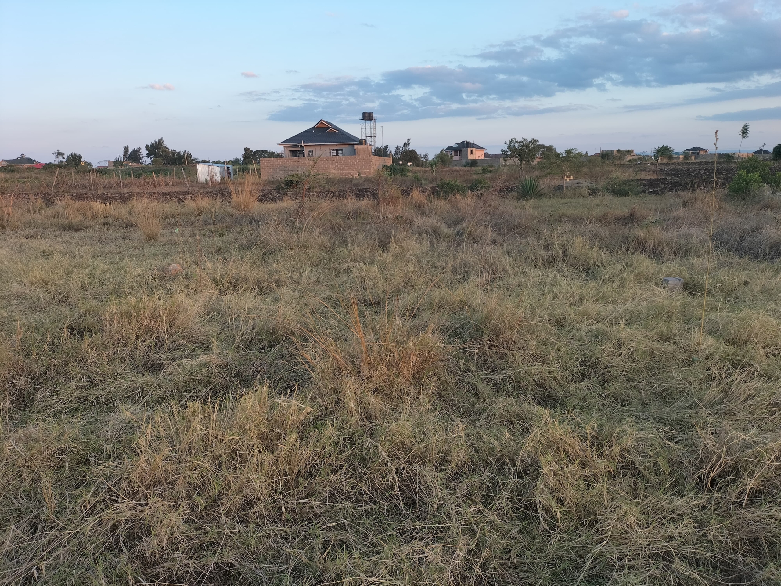 WhatsApp Image 2025-07-15 at 08.30.03